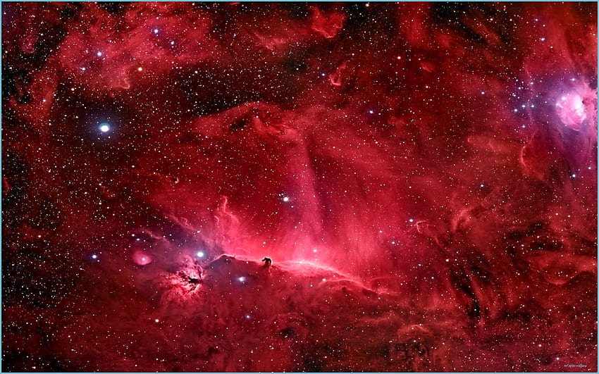Red Galaxy - - - Red Galaxy, Dark Red Galaxy HD wallpaper