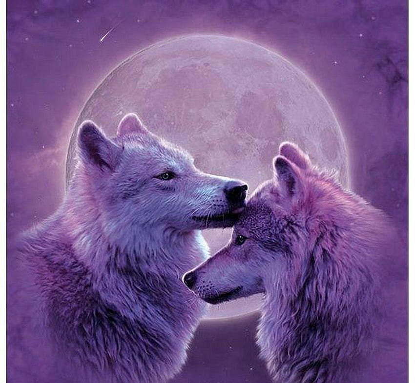 Serigala Cinta, Serigala Ungu Wallpaper HD