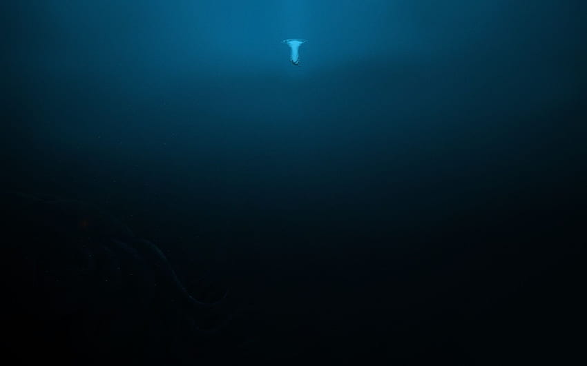 Sea Monsters. Scary ocean, Ocean , Terrifying HD wallpaper | Pxfuel