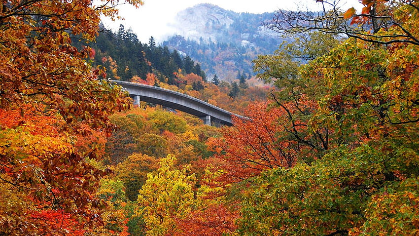 Fall Escapes: Blue Ridge Parkway