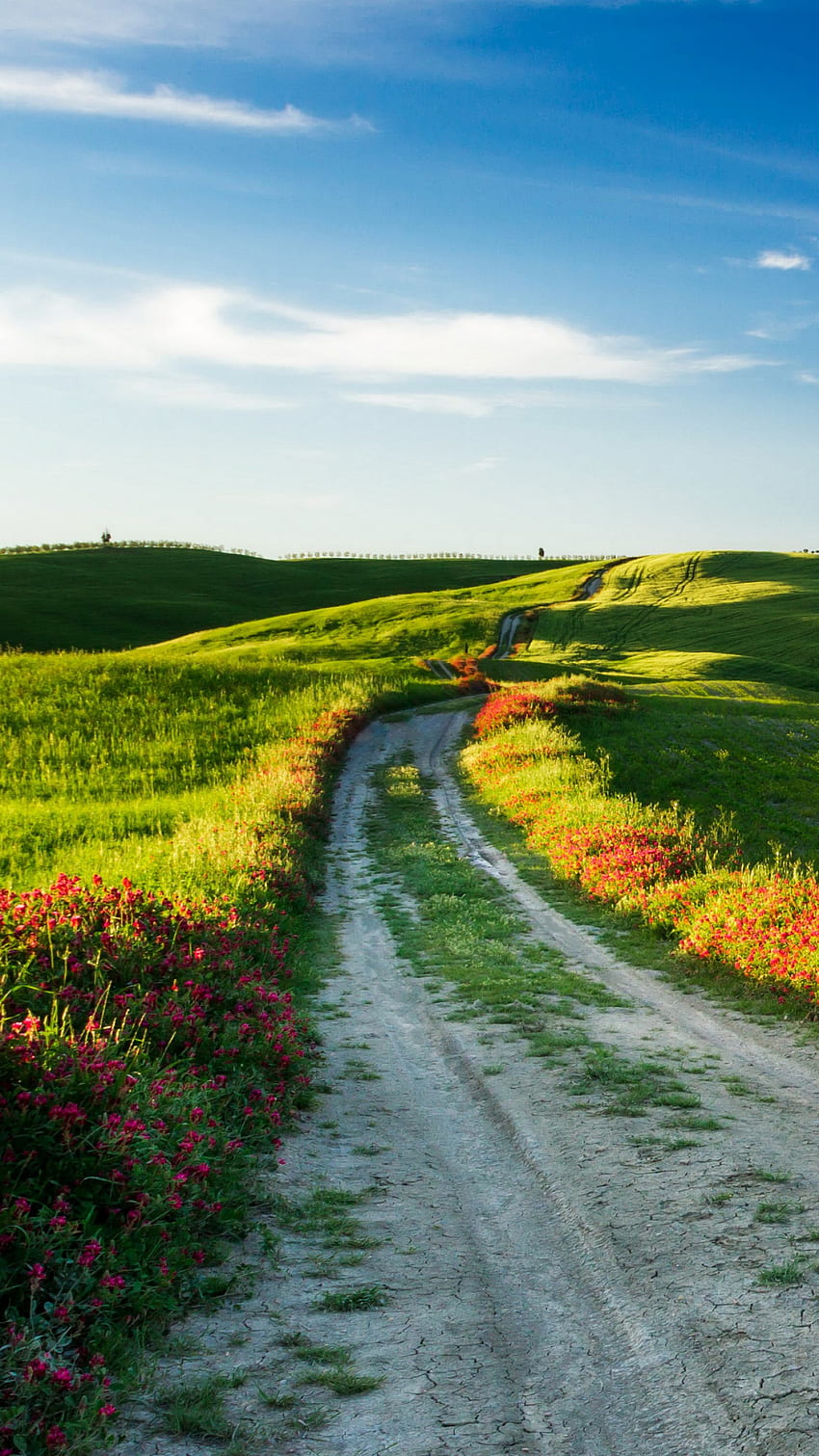 Tuscany, , , Italy, Meadows, road, wildflowers, sky, Nature, Road Vertical HD phone wallpaper