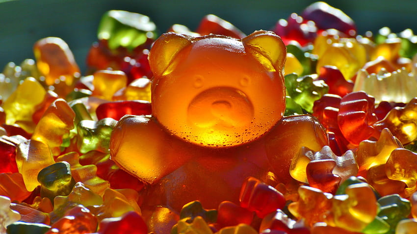 animals, Bears, Gummy Bears, Sweets, Candies, Colorful, Food HD wallpaper