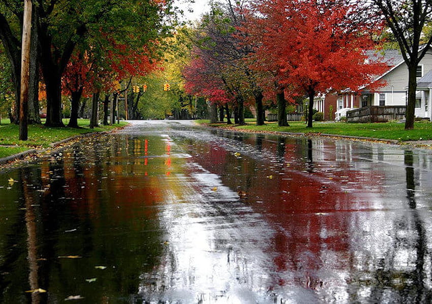 Beautiful Rainy Landscapes 2016. Lluvia de otoño, Paisaje y Días lluviosos fondo de pantalla