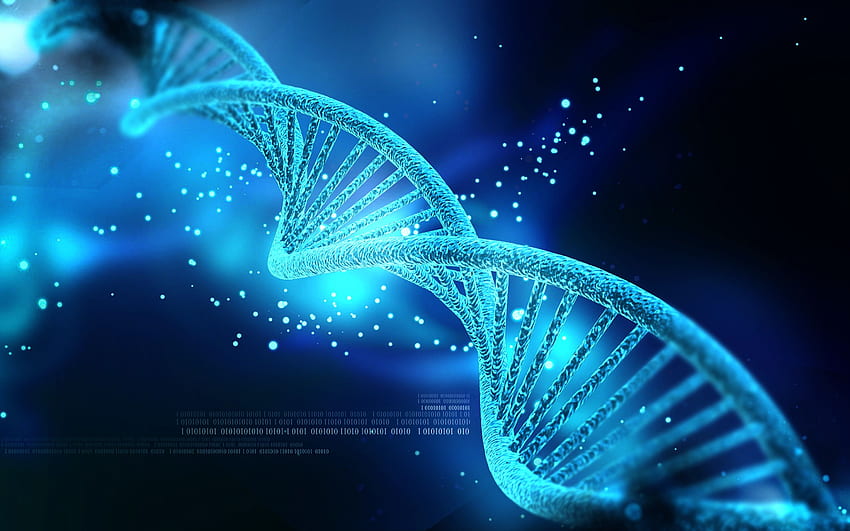 Spartan Bioscience anuncia a publicação do ensaio clínico de genética POPular no New England Journal of Medicine, DNA Molecule papel de parede HD