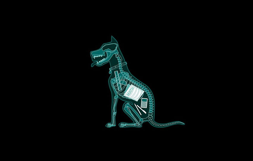 Dog, Background, Fun, Funny, Pencil, Black Background, Situation, Books, Pen, Skeleton, Homework, X Ray, Calculator, Ruler For , Section минимализм, Fun Math HD wallpaper