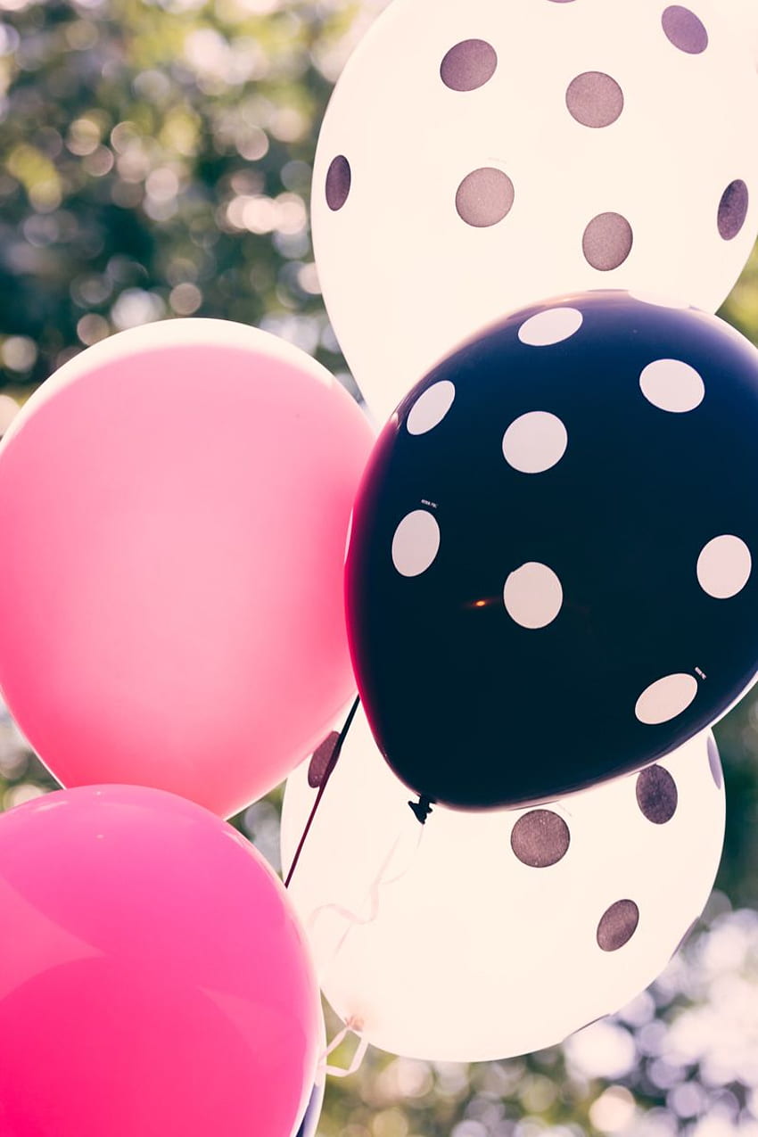 Shannon Vanover Abshire über Hello-Kitty-Party-Ideen. Hello Kitty Birtay Party, weiße Luftballons Party, Hello Kitty Birtay, schwarzer Ballon HD-Handy-Hintergrundbild