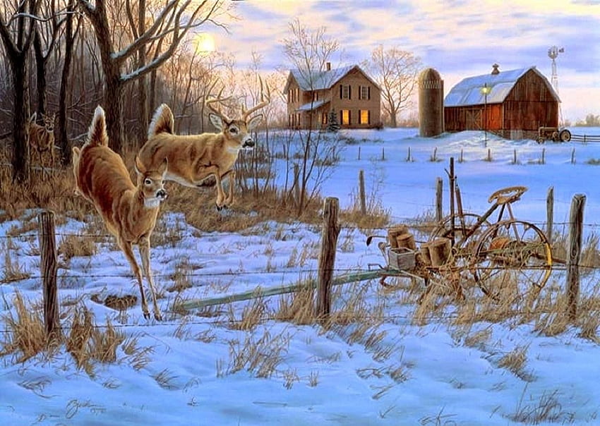 Deers...., farms, winter, deers, animals HD wallpaper | Pxfuel