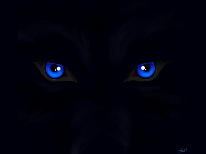 Blue eyes of the wolf, blue, eyes, black, wolf HD wallpaper