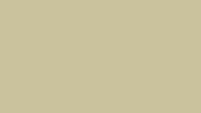 beige, color, background, monochrome, minimalism 16:9 background, Beige Minimalist HD wallpaper