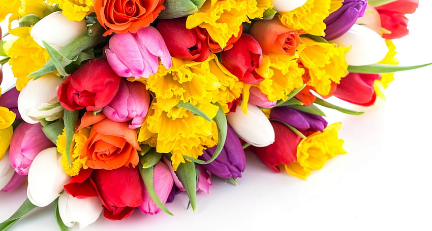 봄 꽃, 꽃다발, 꽃, 튤립 HD 월페이퍼