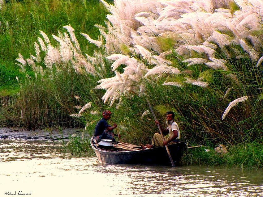 Bangladesch, Bangladesch Natur HD-Hintergrundbild