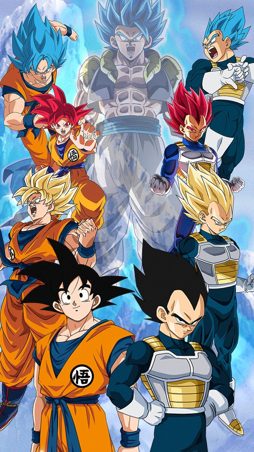 DBS Broly : Goku and Vegeta, Goku SSB HD phone wallpaper | Pxfuel