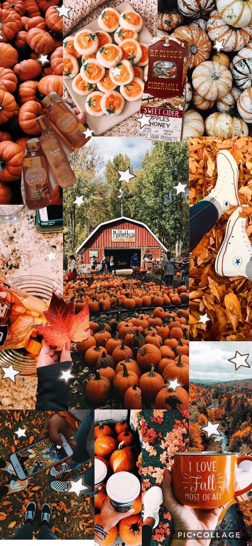 Download Halloween Aesthetic Collage Visuals Wallpaper  Wallpaperscom