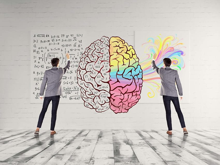 Public speaking and emotional intelligence, Brain Intelligence HD wallpaper