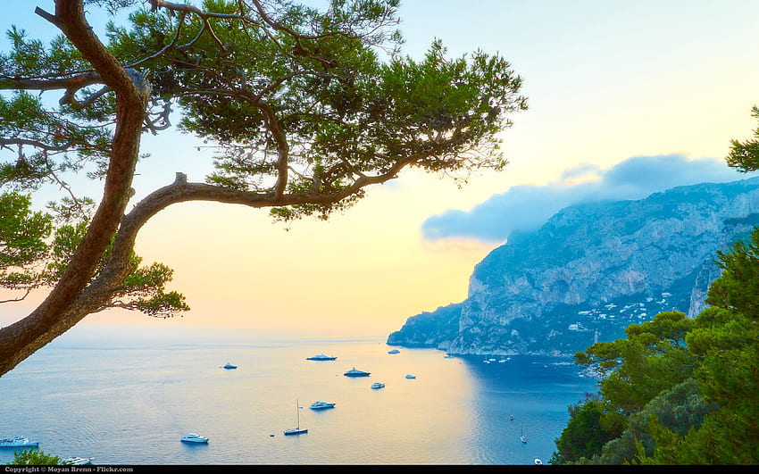 Capri Island, Italy , & background HD wallpaper