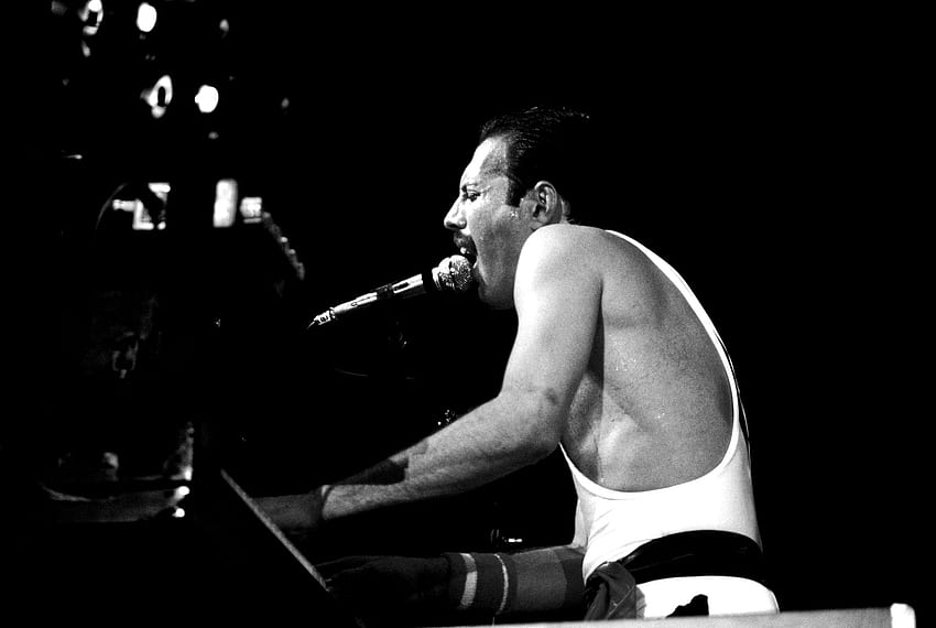 Freddie Mercury Tumblr - New, Queen Freddie Mercury HD wallpaper