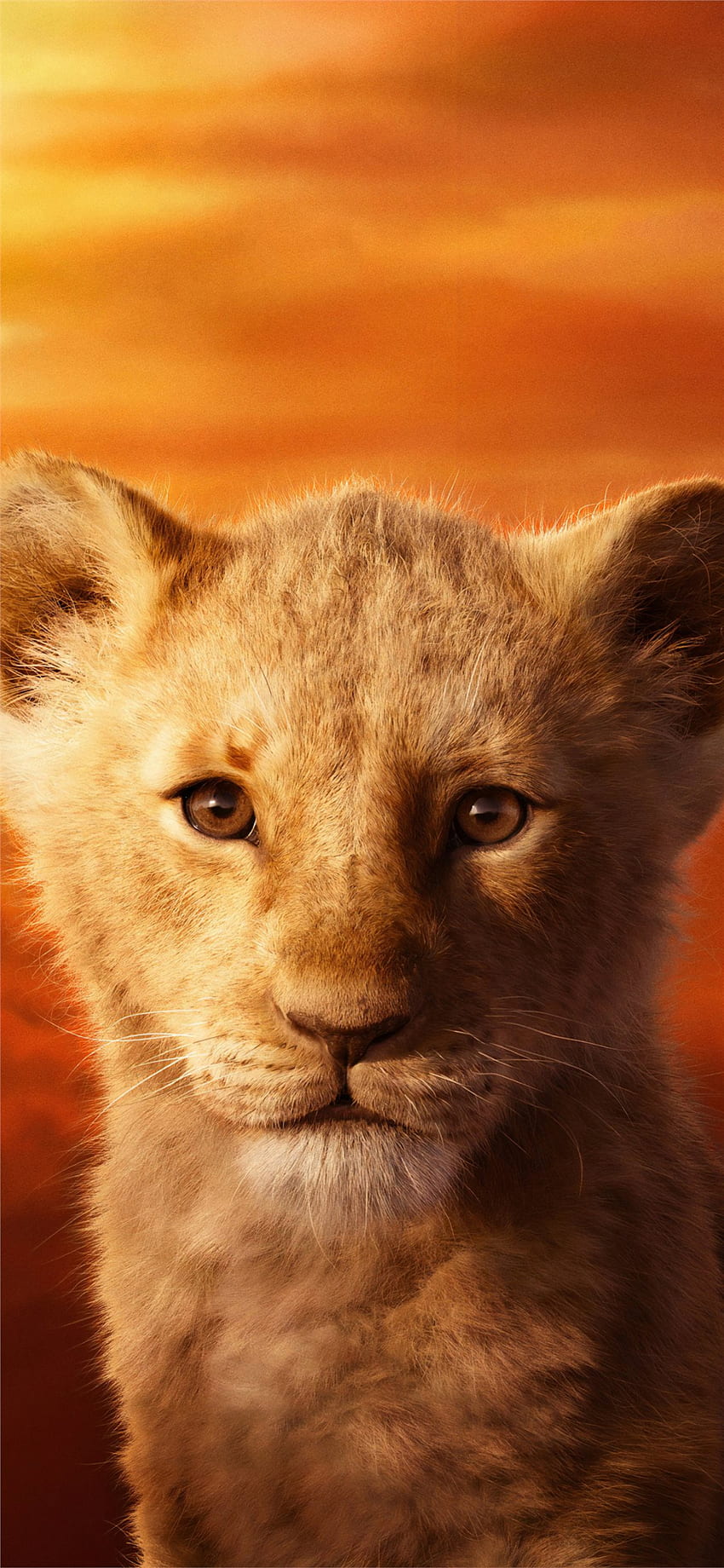 jd mccrary as simba the lion king 2019 iPhone X wallpaper ponsel HD