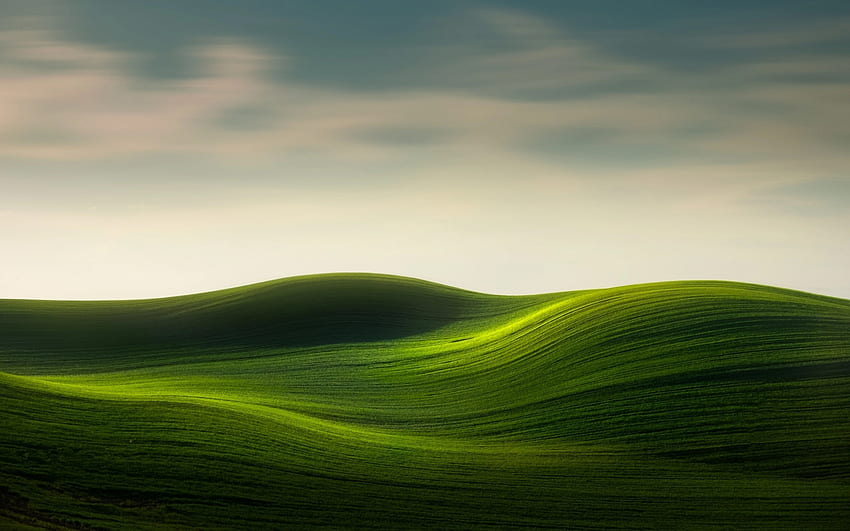 Rolling Green Hills Resolution , Nature , , and Background HD wallpaper