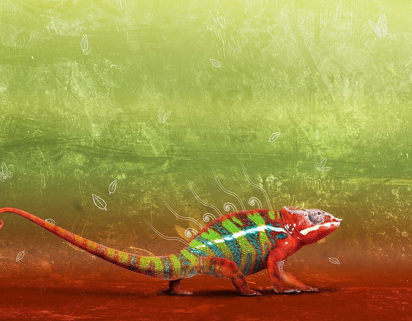 ColourFull, iguana, rettile, lucertola Sfondo HD