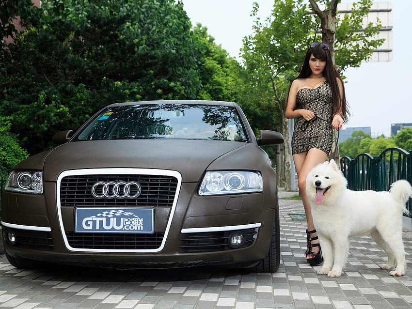 Brown Audi A6L and its Owners, dog, model, car, girl, audi HD wallpaper