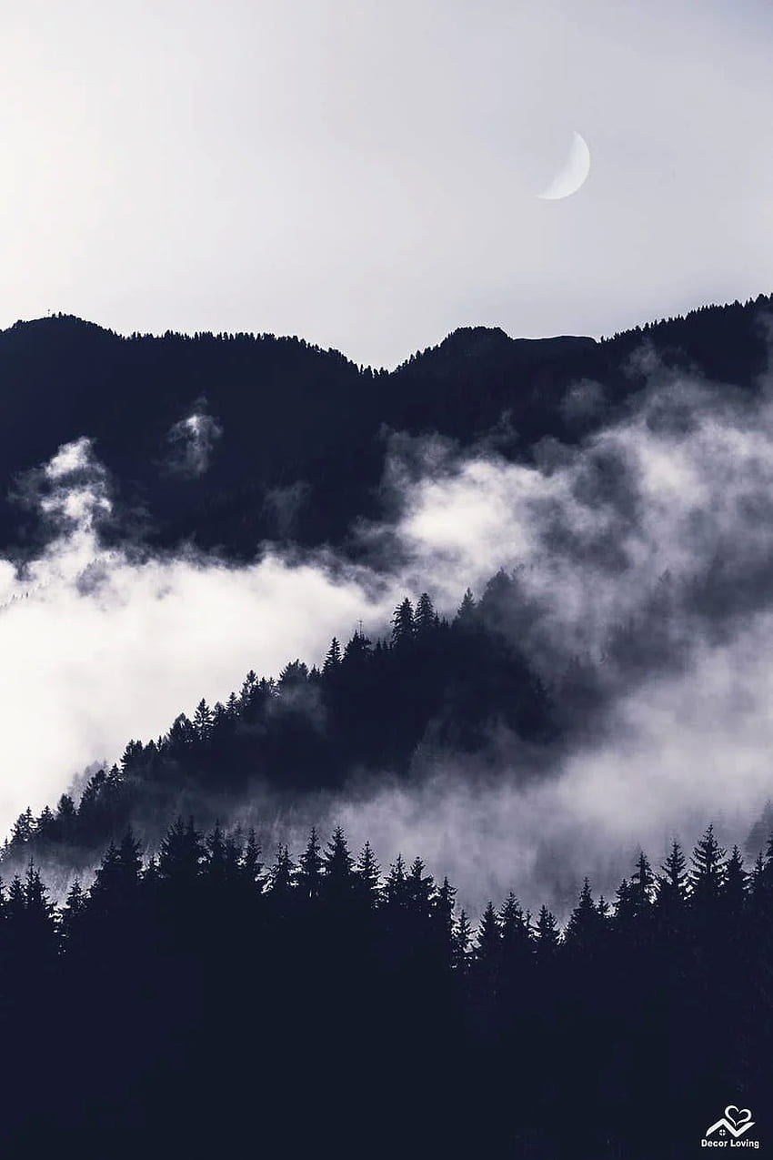 Kabut asap di Pegunungan wallpaper ponsel HD
