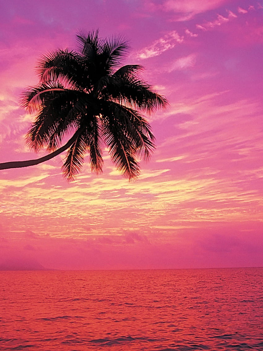 Rainbow sunset beach Beach [] for your , Mobile & Tablet. Explore Sunset Ocean Rainbow . Sunset Ocean Rainbow , Ocean Sunset , Ocean Sunset , Pink Girly Beach HD phone wallpaper