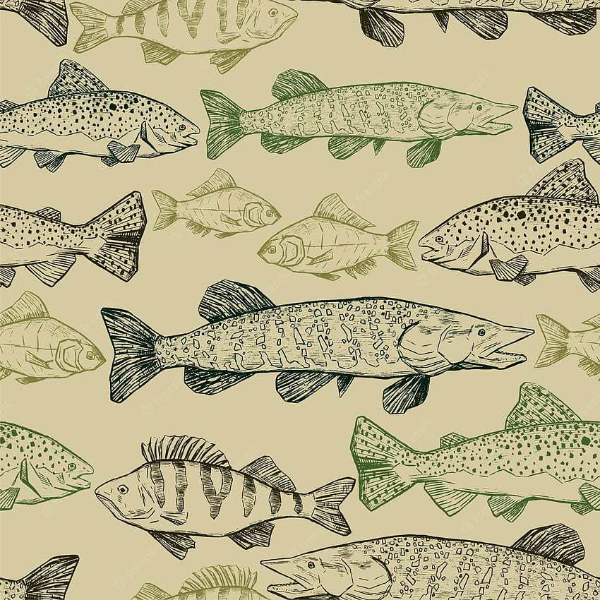 Premium Vector. Trout, perch, pike, crucian ink sketches ornament. vector seamless pattern of river fish. vintage design for , background, textile HD phone wallpaper