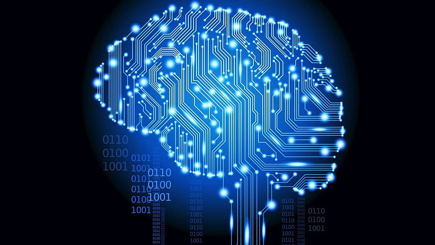 Brain, Digital, Human Brain, Intelligence, Creative, Brain Cool HD wallpaper