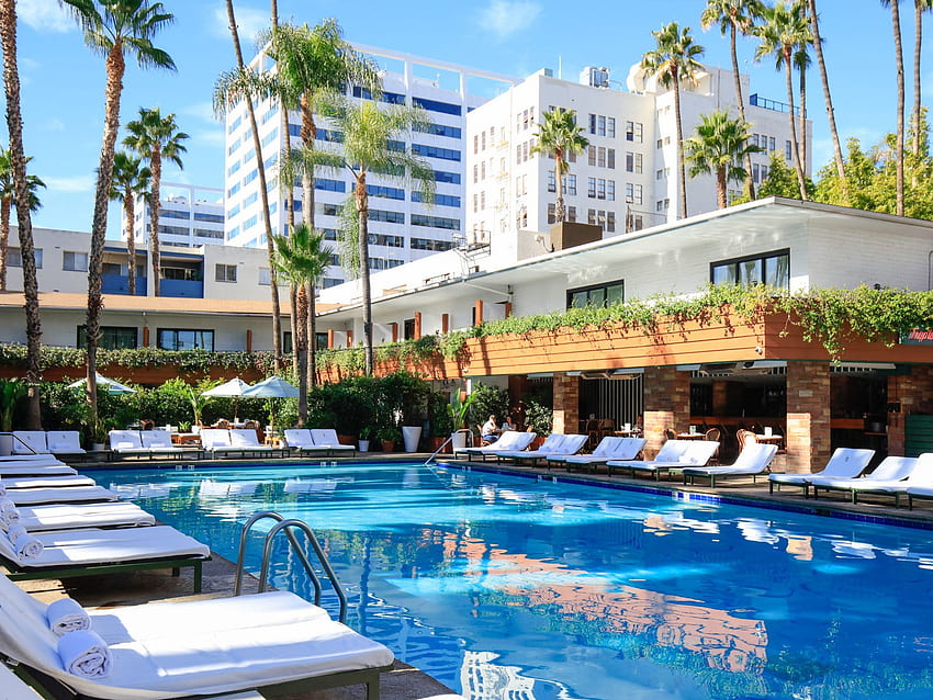 The Hottest Hotel Pools in Los Angeles. Discover Los Angeles, Hotels HD wallpaper