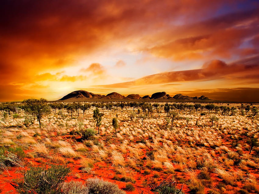 Maravilloso desierto, desierto de Texas fondo de pantalla