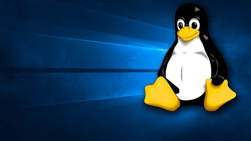 Linux Tux - [] for your , Mobile & Tablet. Explore Tux Penguin . Tux Penguin , Tux , Linux Tux HD wallpaper