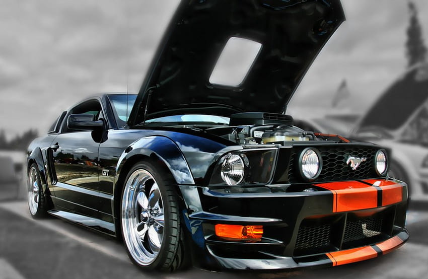 Ford Mustang, tuning, ford, mustang, car HD wallpaper