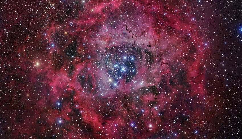 Laptop Nebula Roset , Luar Angkasa , , dan Latar Belakang Wallpaper HD
