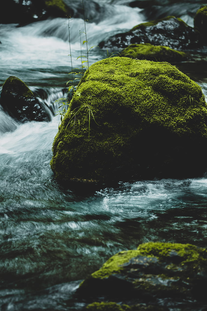 Natura, woda, rzeki, skała, przepływ, kamień, mech, strumień Tapeta na telefon HD