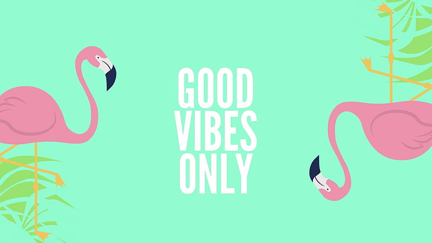 Good Vibes Only background HD wallpaper