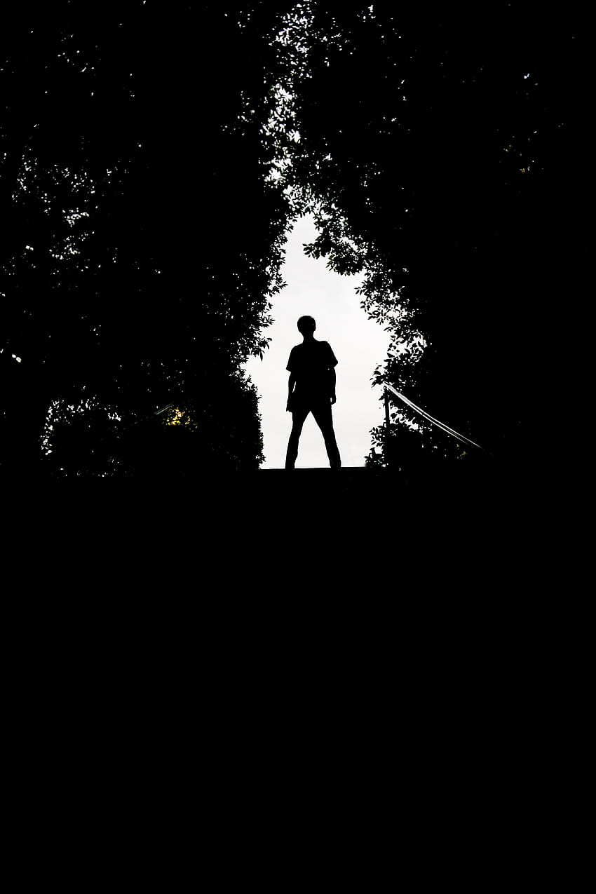 Trees, Dark, Silhouette, Human, Person HD phone wallpaper