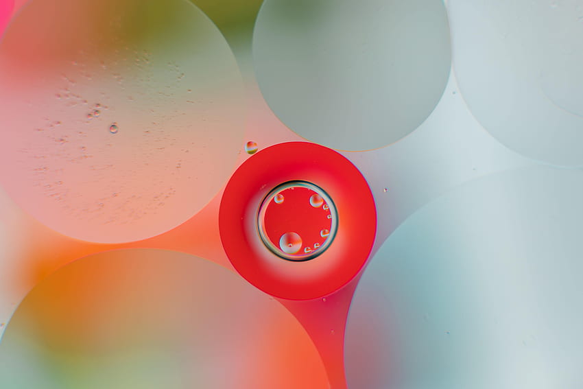 Abstract, Water, Bubbles, Circles, Gradient HD wallpaper