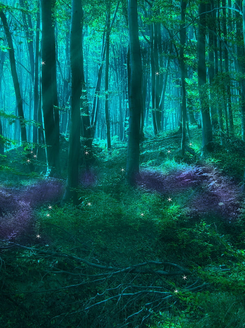 Magical Forest Fairyies สร้างป่าที่น่าหลงใหล [] สำหรับมือถือและแท็บเล็ตของคุณ สำรวจป่ามหัศจรรย์ Enchanted , Enchanted Forest สำหรับบ้าน, Forest Mural, Fairy Forest วอลล์เปเปอร์โทรศัพท์ HD