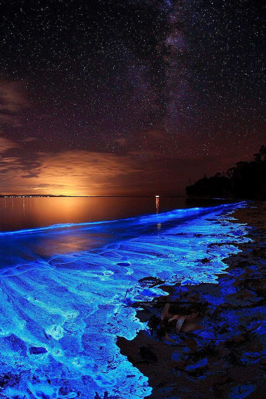 Bio Luminescence Illumination Of Plankton At Maldives Stock Photo   Download Image Now  iStock