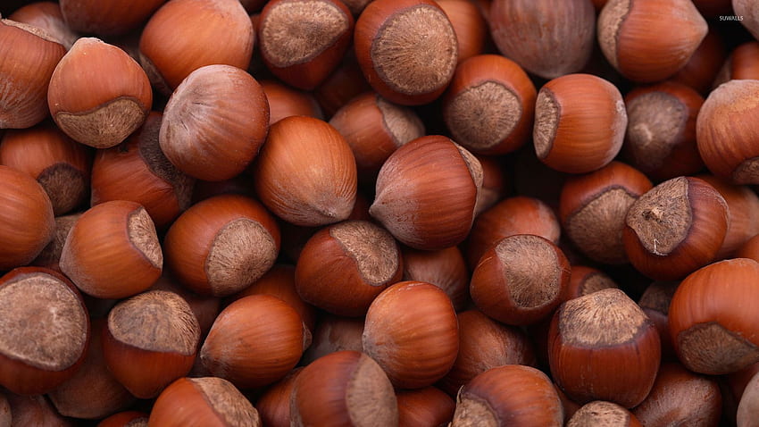 Hazelnuts piled up - graphy, Hazelnut HD wallpaper