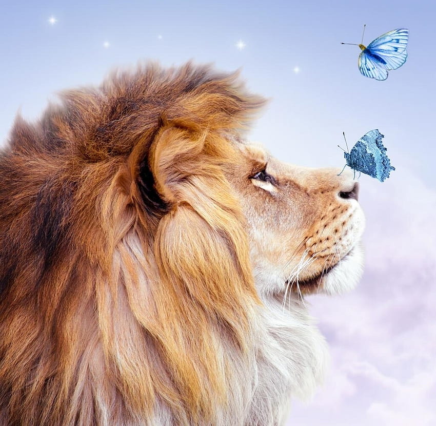 Sternzeichen ~ Löwe, Tier, Blau, Leu, Schmetterling, Fantasie, raues Taggar, Löwe HD-Hintergrundbild