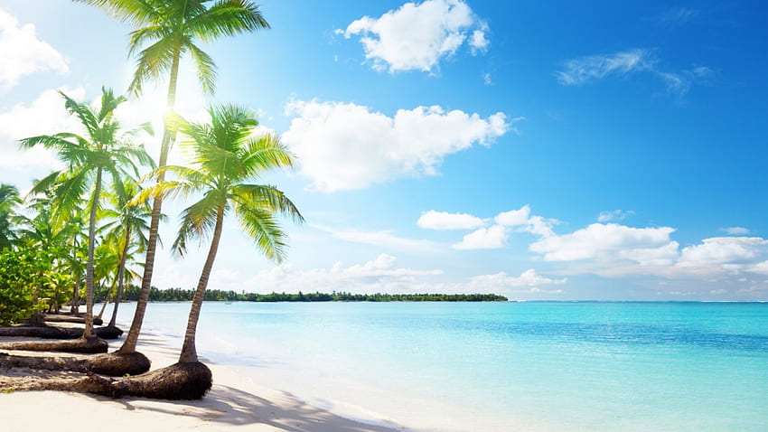 Raj o poranku, tropikalny, biały piasek, raj, piękny, plaża, lato, chmury, turkusowa woda, palmy, ocean Tapeta HD