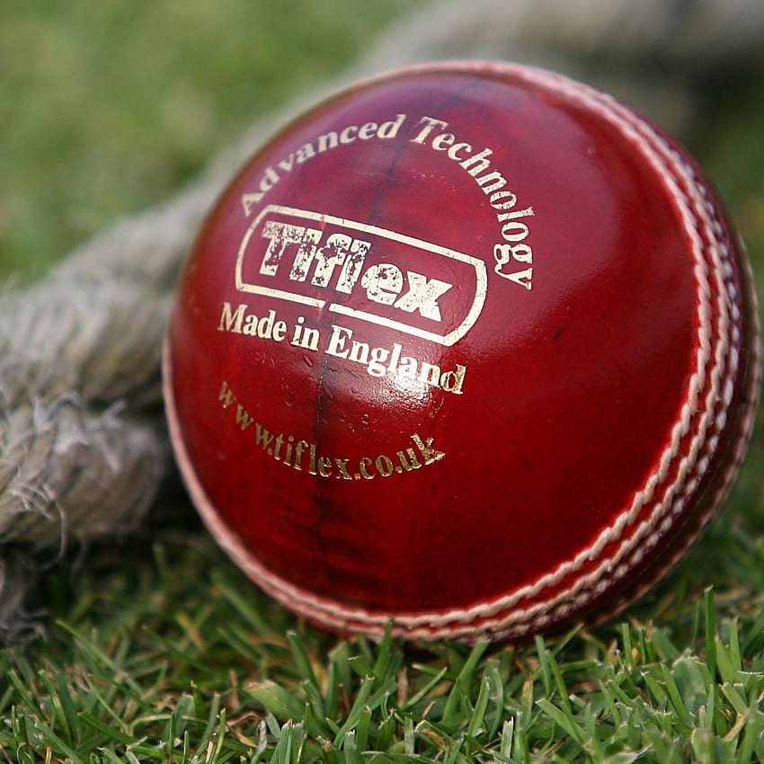 PETA want cricket ball ban HD phone wallpaper