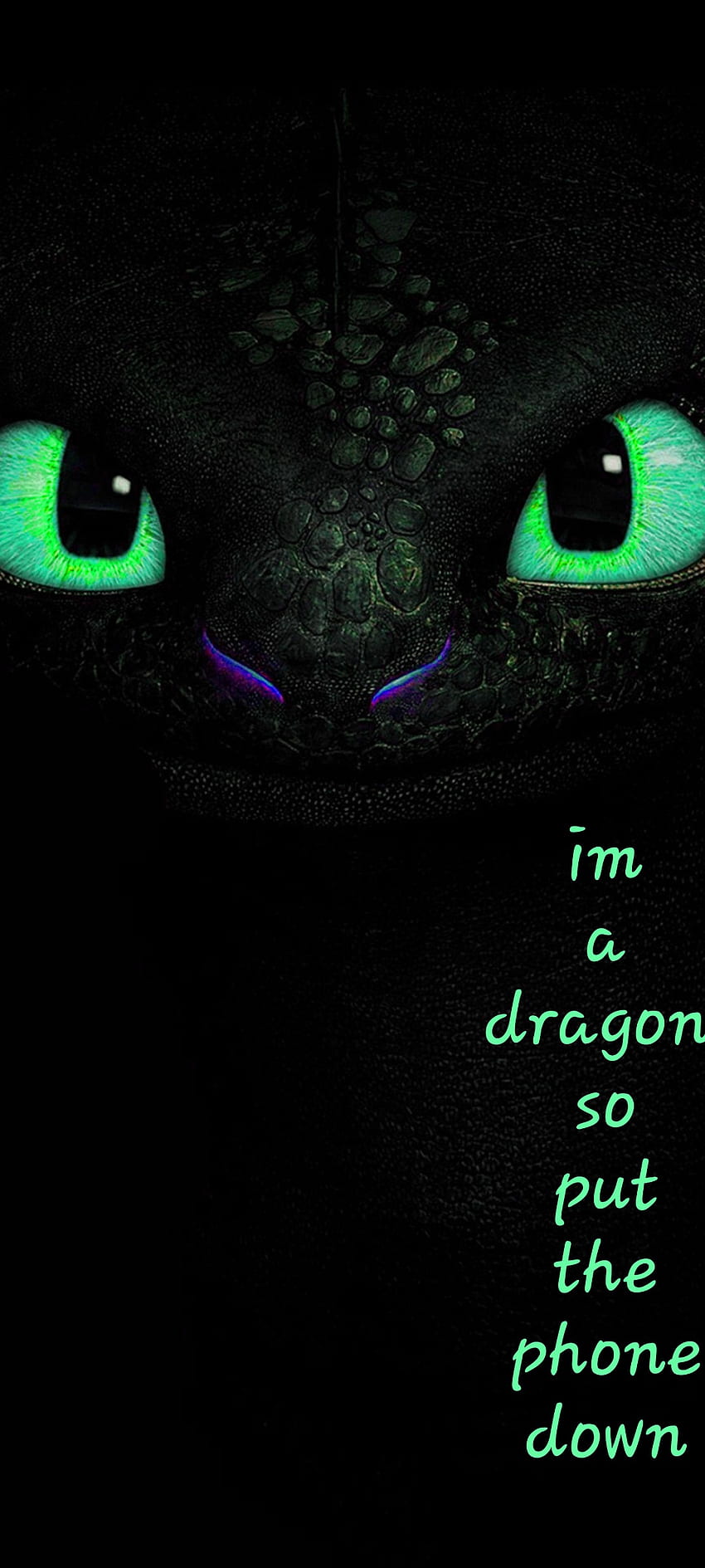 Toothless, the, phone, protector HD phone wallpaper