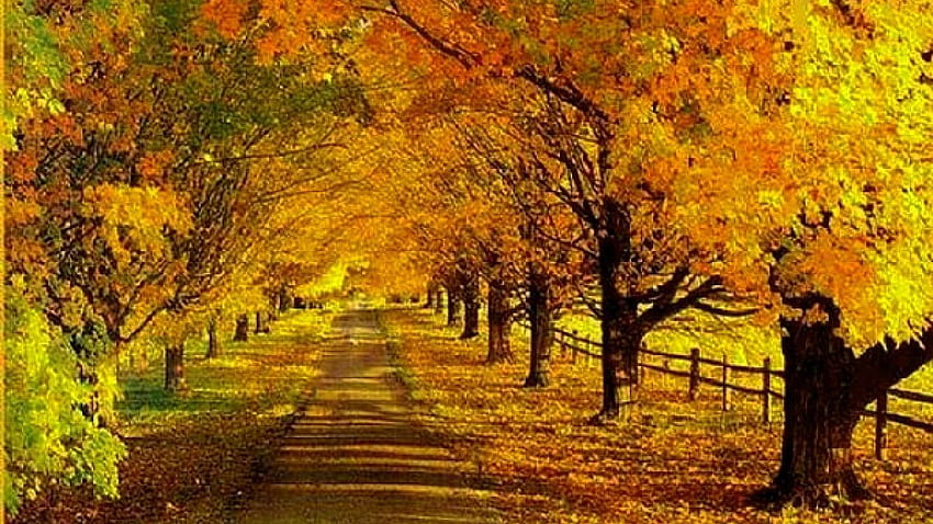 Autumn Scenes HD wallpaper | Pxfuel