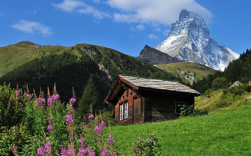 Summer in Swiss Alps, wildflowers, clouds, sky, mountains, cabin HD wallpaper