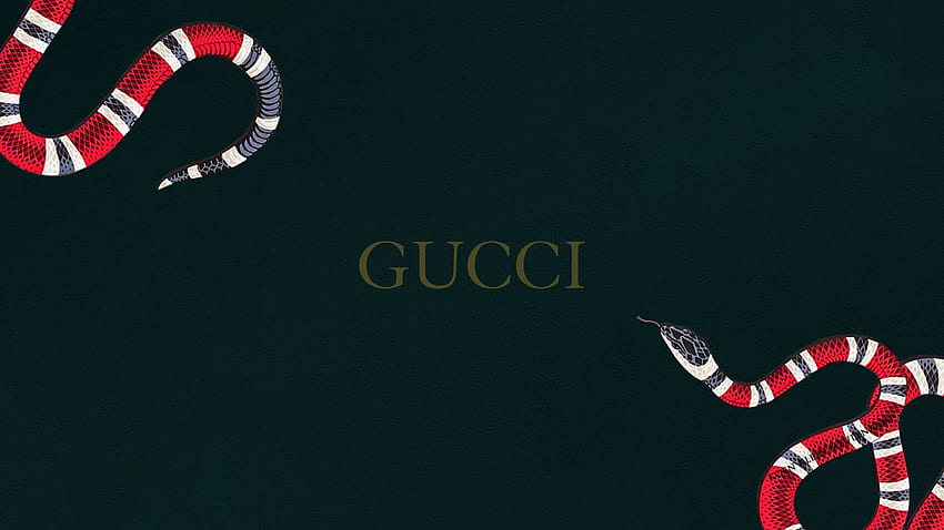 Gucci Snake, Rose Snake HD wallpaper