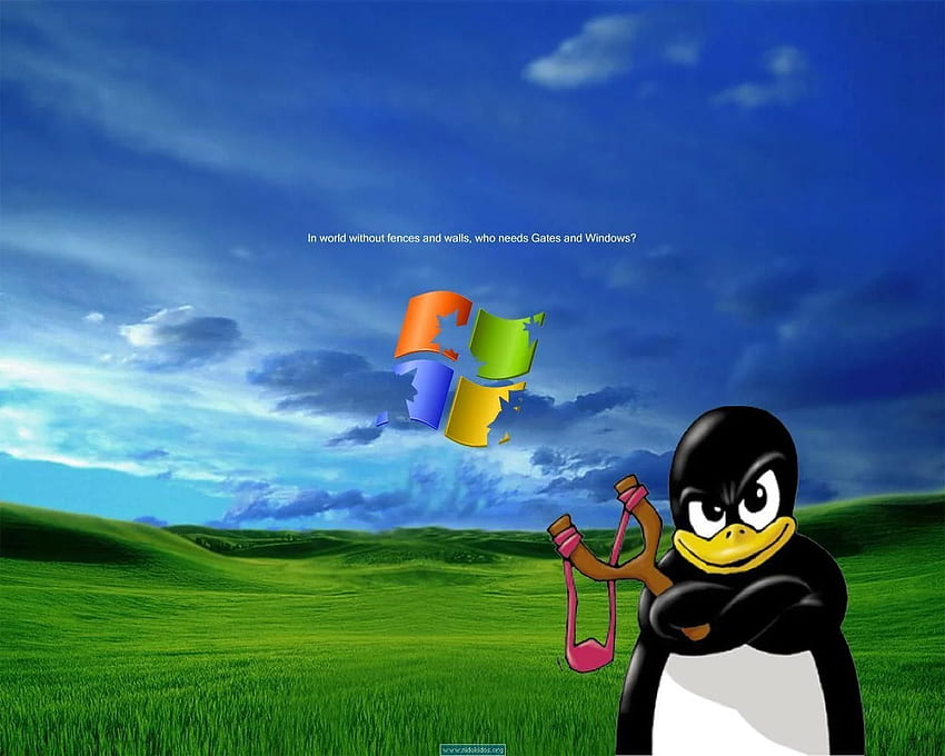 A Tribute To Terrible Old Linux . Beautiful nature , Nature , Nature background, Old Windows HD wallpaper