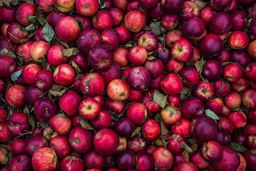食べ物, ピンク, りんご, 熟した, 収穫 高画質の壁紙