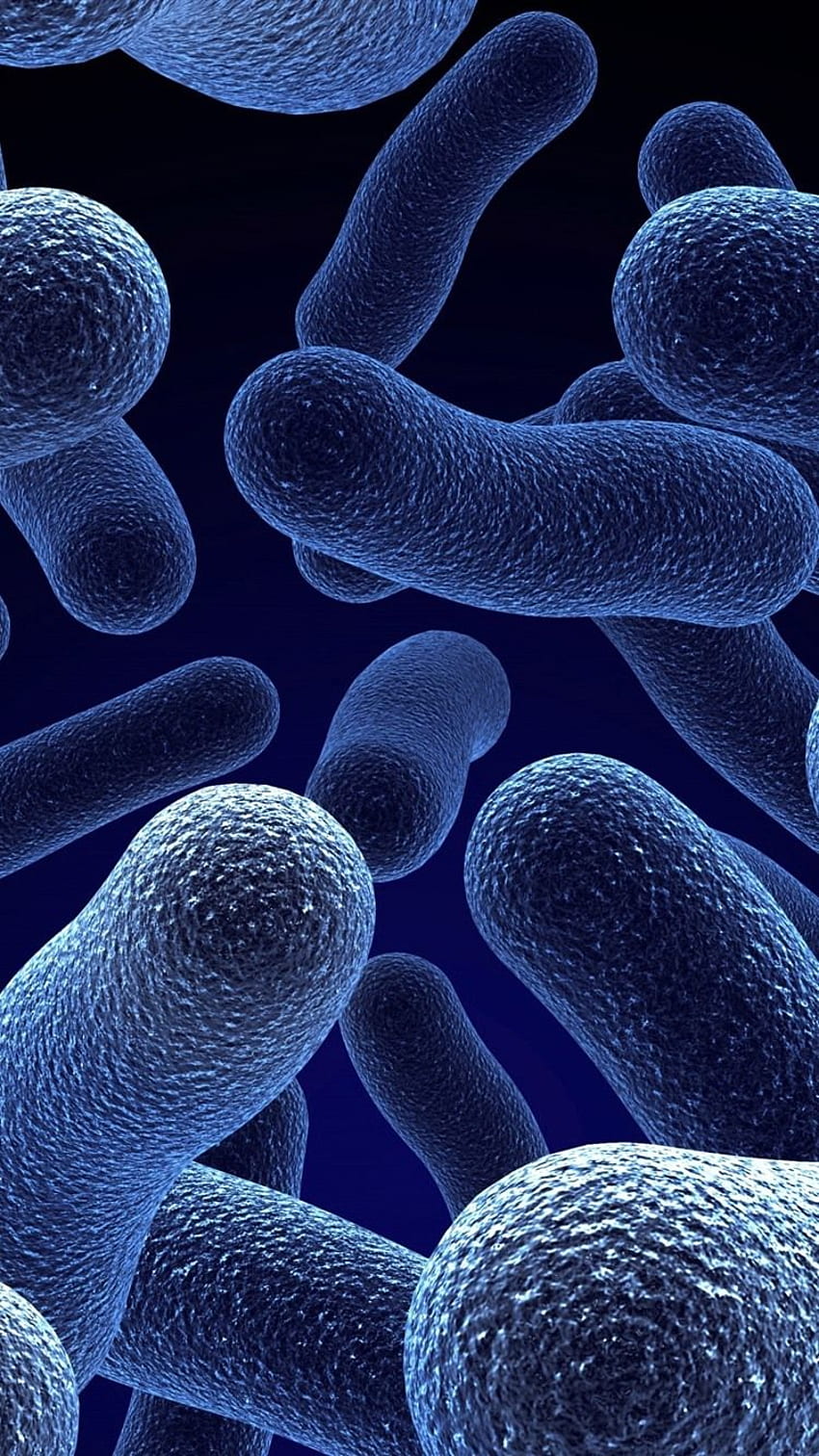 Bakteriler, mikroplar, mikroskop altında bak HD telefon duvar kağıdı